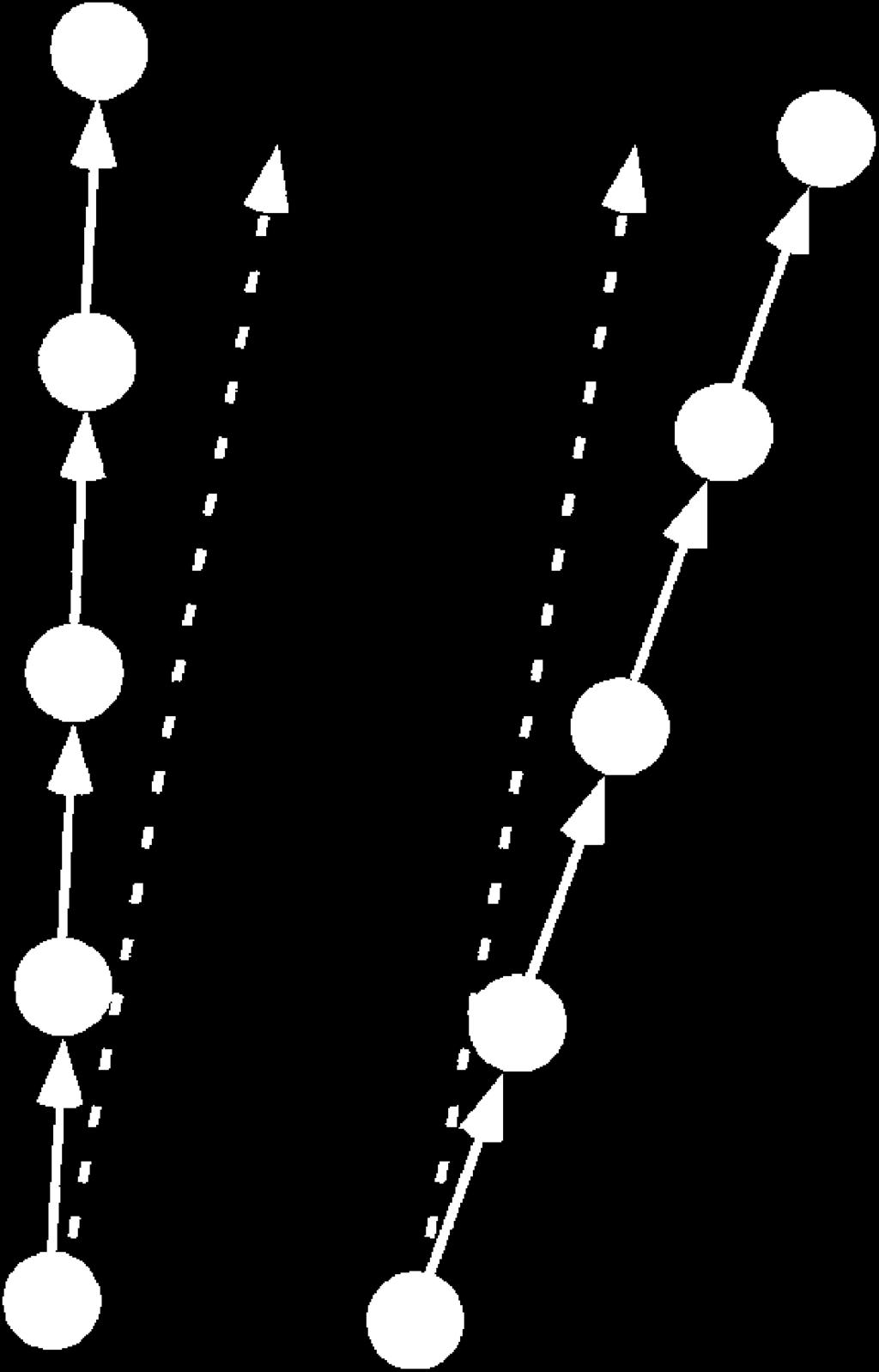 The direction of each dot is perturbed in each stimulus frame independent of its direction in the previous frame. (b) Experimental condition 2: Fixed-Random-Trajectory Direction Noise.