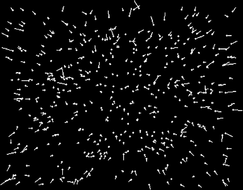 For individual dots, the trajectories with random-heading direction noise look qualitatively similar to those for random-walk direction noise. (a) (b) (c) Figure 2.