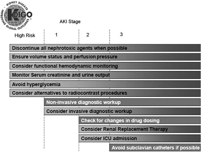 Figure 4 Stage-based management of AKI.