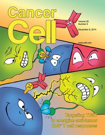 1 3 A n ti- T IG IT A n ti- P D -1 T Cell Receptor CD226 Anti-TIGIT TIGIT