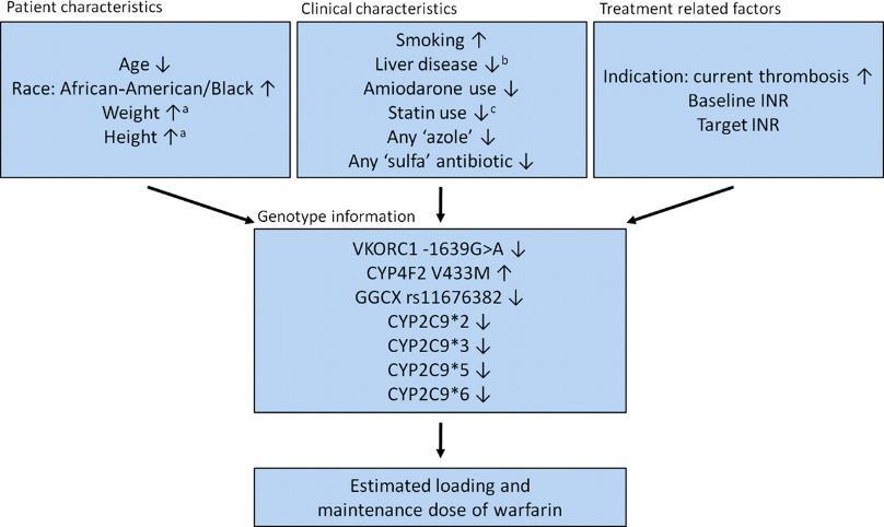 CYP2C9/VKORC1 & Warfarin Together, account for 30 40% of variability in doses Gage/International Warfarin Consortium algorithms better than fixed dose or clinical variables only especially for those