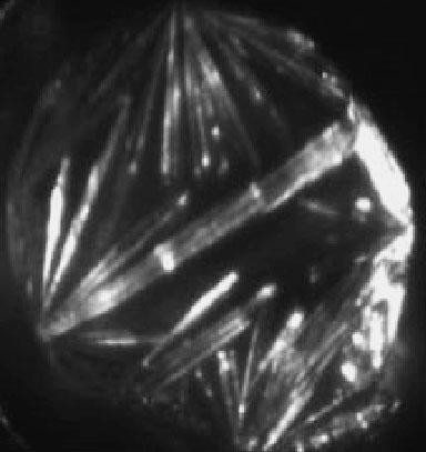 (a) Appearance of typical DHB crystals formed by manually spotting 1 ml of DHB solution onto a target plate.