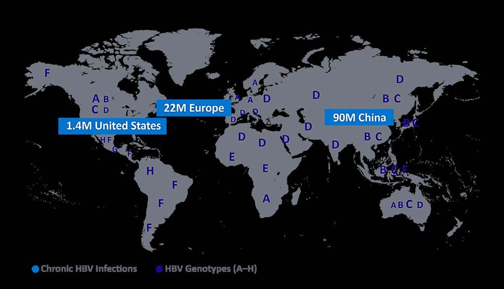 Chronic HBV Global Unmet Medical Need 350M people chronically infected with HBV 780K people die