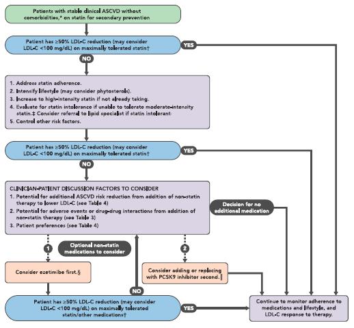 Decision Pathway Algorithms General Patient group addressed Threshold for considering additional action Clinical actions to consider to achieve desired response Factors to consider in
