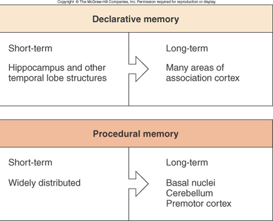Figure 8-14 Declarative memory is associated with actual events in a person s direct experience.