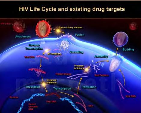 and treat all HIV patients with antiretroviral medications Post-test #2 HIV Post exposure Prophylaxis PEP a) Treatment for individuals that have been exposed to HIV b) Treatment for individuals after