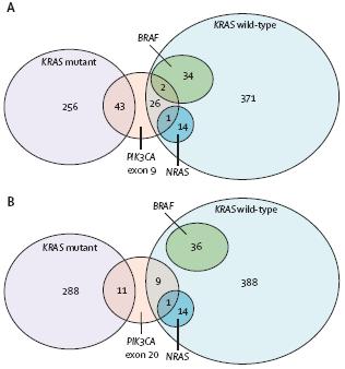 Mutations in EGFR Pathway Genes in
