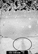 At higher magnification, the particulate nanofiller within the resin tag is observed.