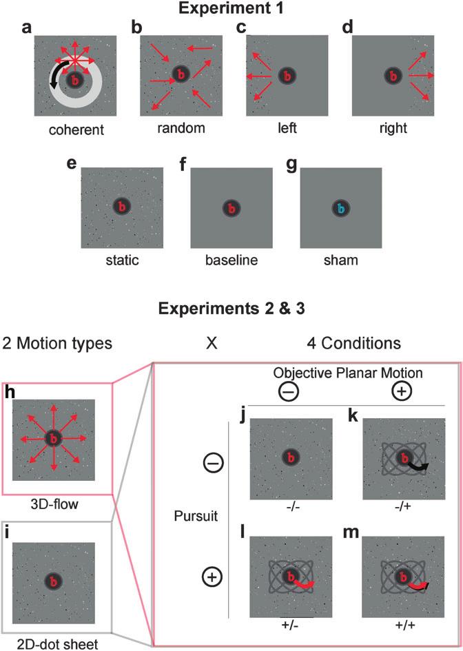 Figure 1. Stimuli used for experiments 1 to 3. (a--g) Stimuli used in Experiment 1.