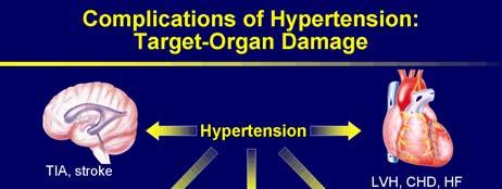 Hypertension and Cholesterol in the Elderly Angela Sanford, MD Assistant Professor of
