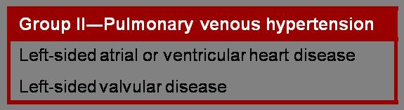 pulmonary capillary bed; PV, pulmonary