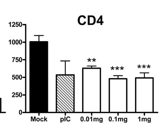 Sustained Triggering TLR7