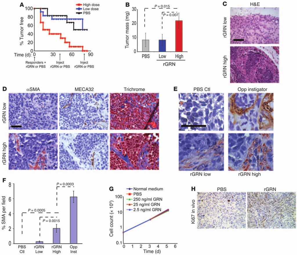 Figure 5 GRN treatment mimics systemic instigation and results in responding tumor growth in vivo.