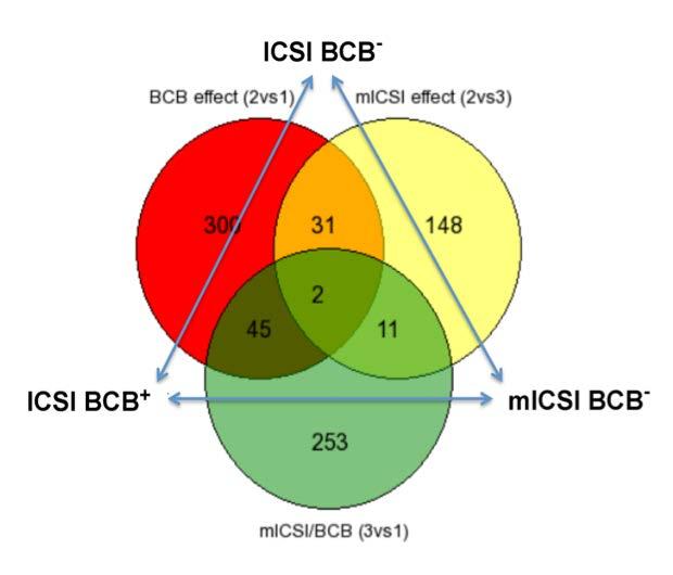 BCB - and ICSI BCB -