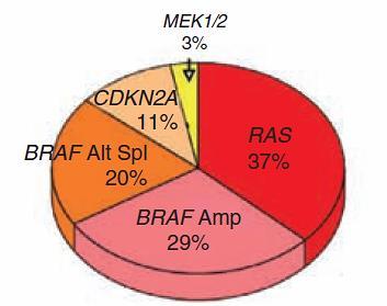 Resistance BRAF-mutant melanomas acquire BRAF