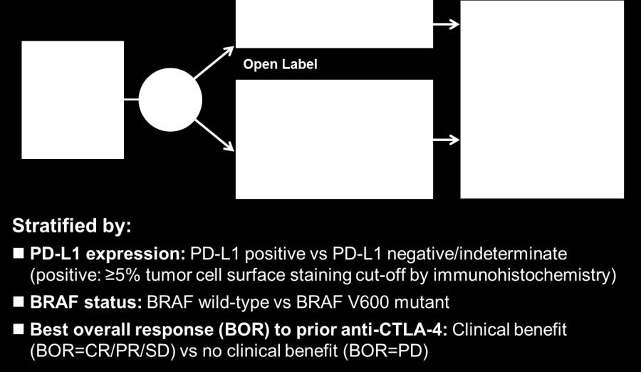 Tumour PD-L1 expression as candidate predictive biomarker: Experience from the randomised Phase III studies with nivolumab (CA209-037) In the CA209-037 study, the patients