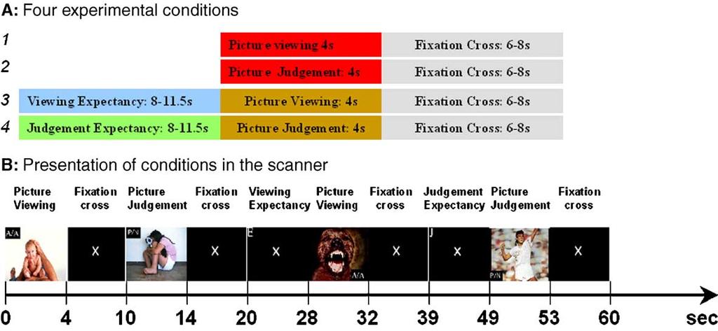 328 S. Grimm et al. / NeuroImage 30 (2006) 325 340 Fig. 1. Schematic presentation of fmri paradigm for viewing and judgment of emotional pictures in unexpected and expected modes.