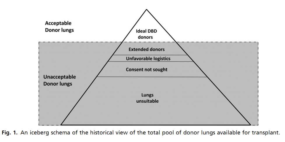 Extending the spectrum of transplantable donor