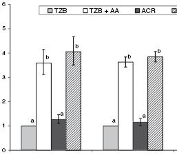 Comparing human and Caco-2 cell iron bioavailability in maize ACR &TZB Absorption relative to TZB Women Caco-2