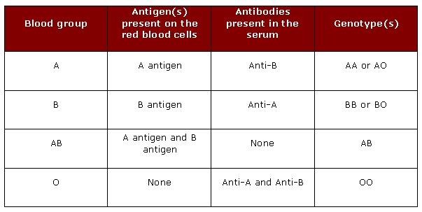 Typing Determined Phenotypically or Genotypically 15 Minor Blood Groups Antibodies are formed in response to previous transfusions or pregnancy.