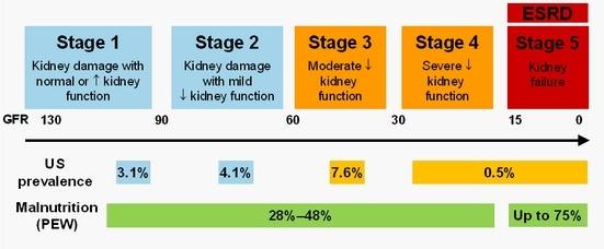 Epidemiology of Protein-Energy Wasting (PEW) in CKD/ESRD PEW is a frequent finding in ESRD PEW prevalence increases from stages 3 to 5 USRDS 2009 Annual