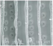 Roger M. Rowell / International Journal of Lignocellulosic Products (2014) 1(1): 1-27 13 Figure 5. SEM of brown-rot fungal attack on wood.
