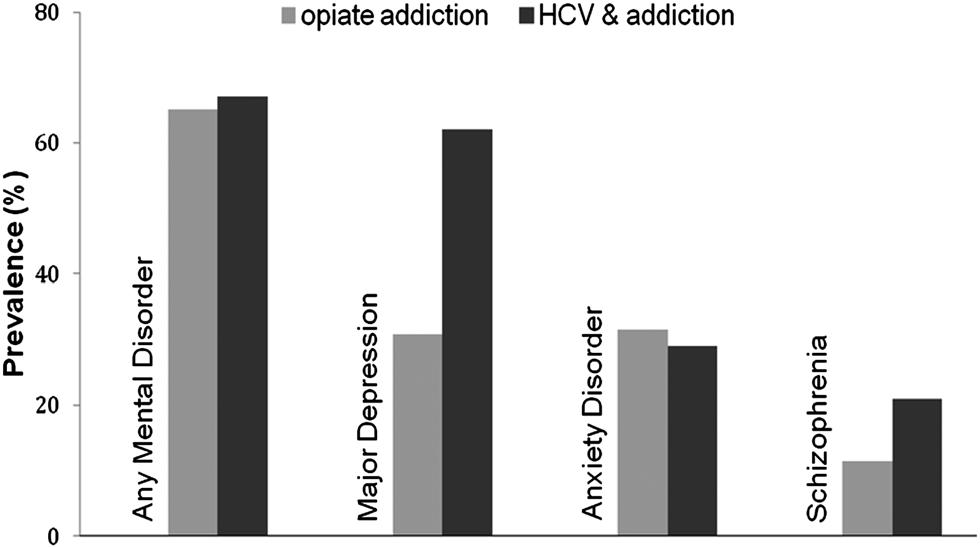 Figure 2. Prevalence of psychiatric comorbidity in patients with drug addiction with or without chronic hepatitis C virus (HCV) infection.