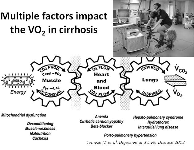 Multiple factors impact the VO 2 in cirrhosis Lemyze M et al.