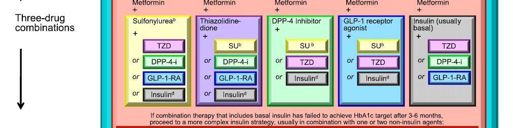 Three-drug combinations The therapeutic regimen should include some basal insulin before moving to more complex insulin strategies.