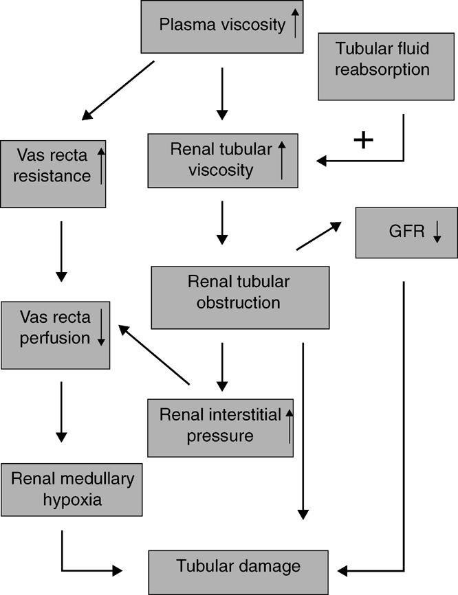 Mechanisms linking fluid osmolality to renal