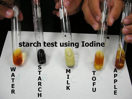 Carbohydrate Tests Presence of Starch test