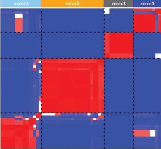 ccrcc transcriptome analysis molecular subtypes: predictive of treatment with immune-modulators?