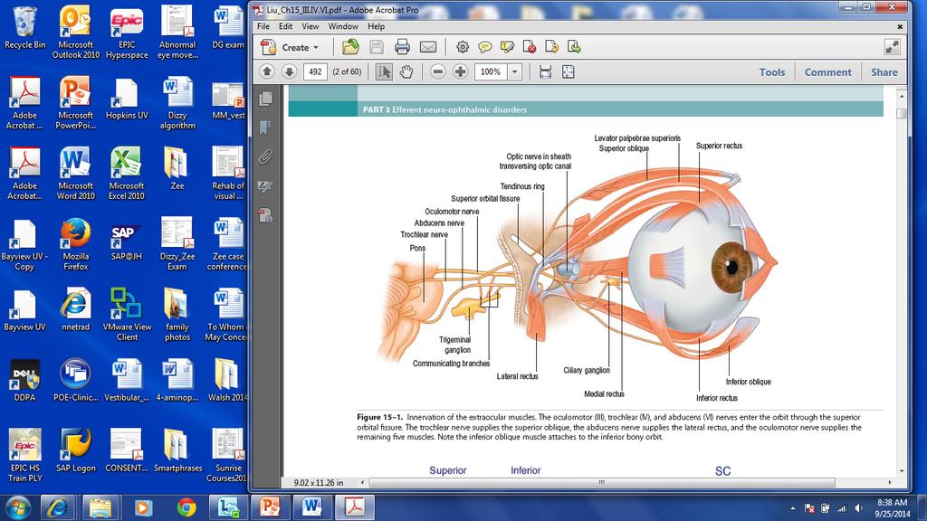What is Neuro-ophthalmology?