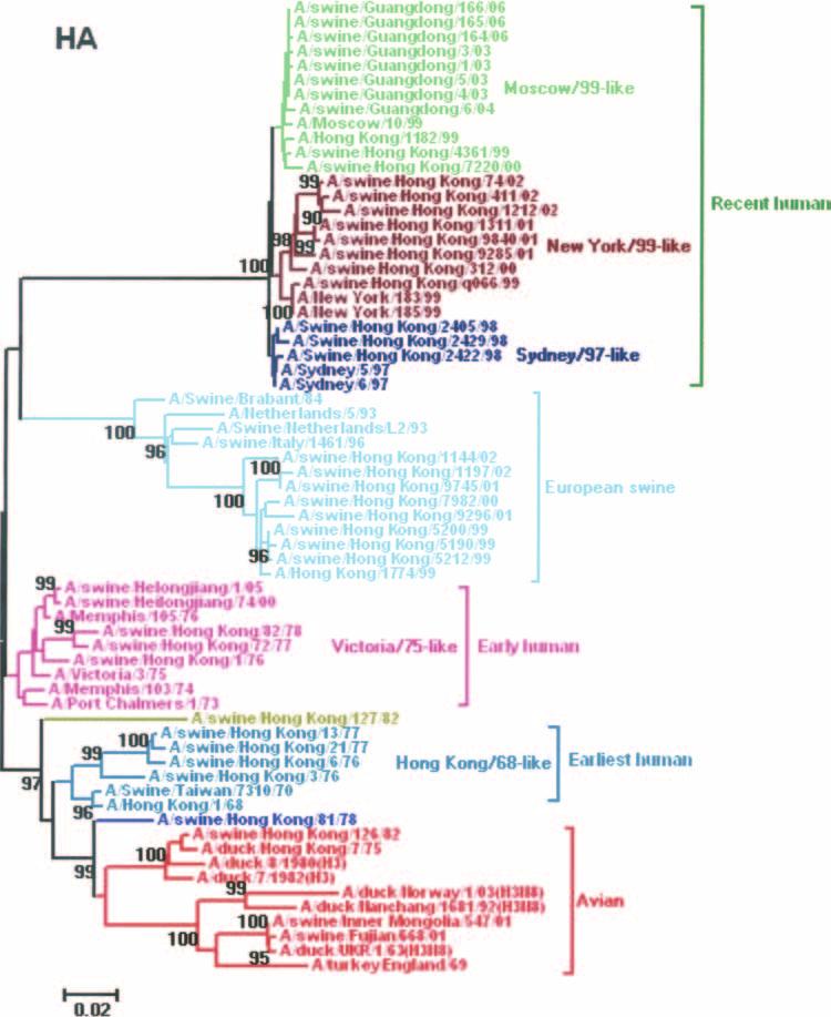 VOL. 46, 2008 SWINE INFLUENZA A VIRUSES IN CHINA FROM 1970 TO 2006 1069 Downloaded from http://jcm.asm.org/ FIG. 1. Phylogenetic tree of the HA (positions 98 to 1059) gene of the H3N2 swine influenza viruses in China from 1970 to 2006.