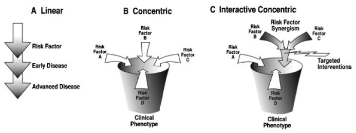 Mechanisms/pathophysiology of geriatric syndromes: The Interactive Concentric Model inborn error of
