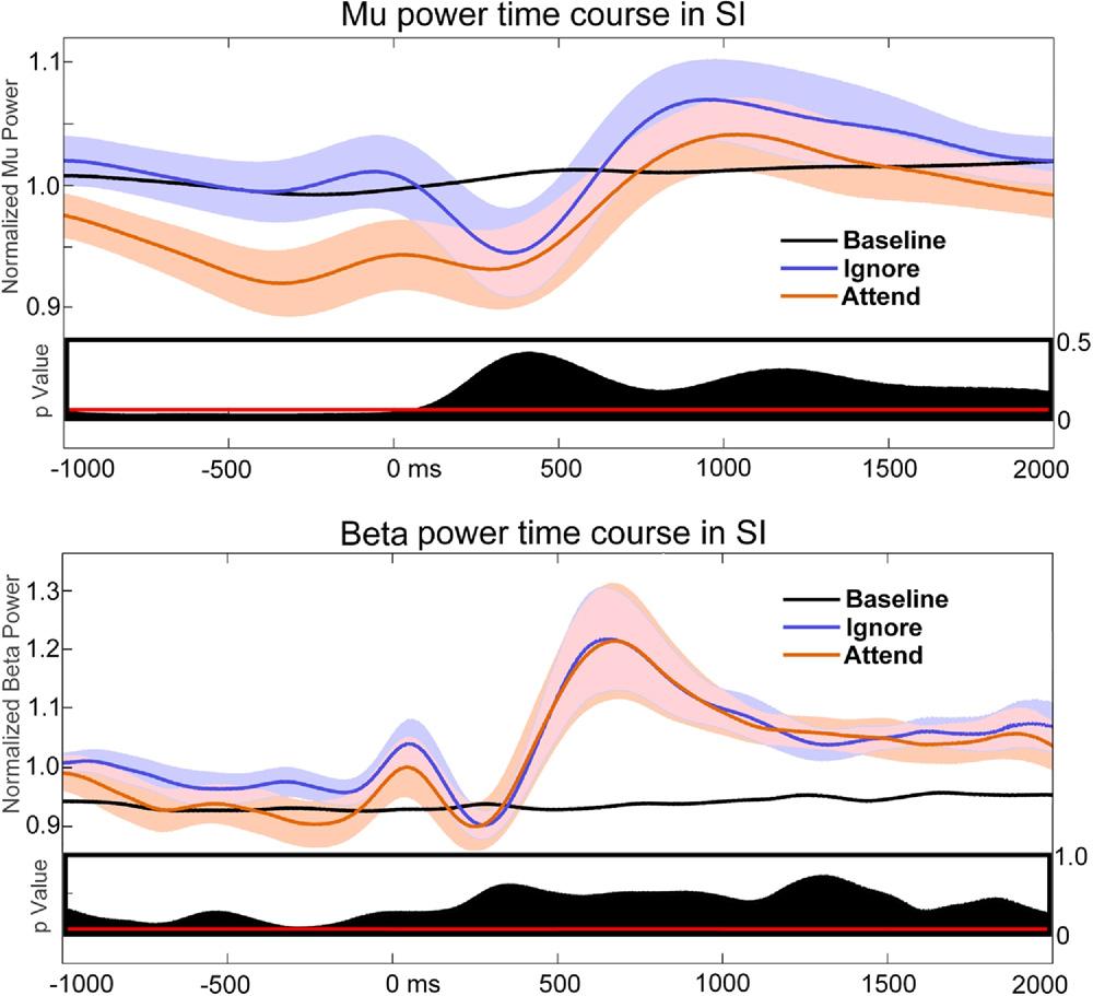 174 K. L. Anderson and M. Ding / Neuroscience 180 (2011) 165 180 Fig. 8. Time course of mu (top) and beta (bottom) power in SI normalized and averaged across hemispheres and subjects.