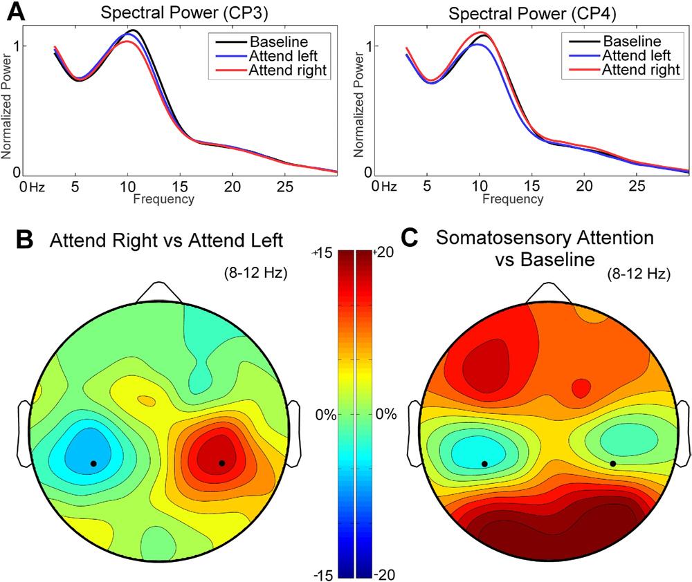 170 K. L. Anderson and M. Ding / Neuroscience 180 (2011) 165 180 Fig. 4. Prestimulus power comparison in the sensor space.