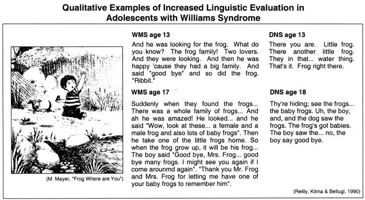 Cognitive Effects: Language When asked to describe a picture, patients with WS