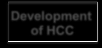 Chronic hepatitis of HCC