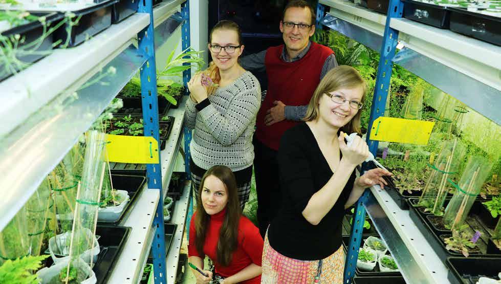 8 UUDISED UUDISED 9 Tartu ülikooli teadlased tegid läbimurde taimede süsihappegaasi tajumise mõistmisel Teadlased astusid suure sammu edasi teadmistepõhise põllumajanduse arendamises ja vett