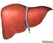 Organ Specific Criteria - Liver Medical Criteria Serum Creatinine/On dialysis?