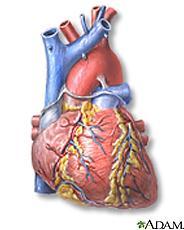 Organ Specific Criteria - Heart Status 1A valid for 14 days Mechanical circulatory support LVAD or RVAD < 30 days?