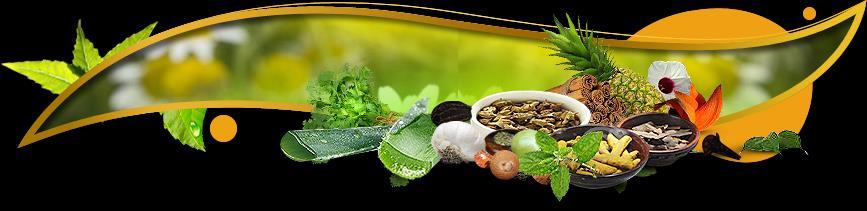 Use of Plants Ayurvedic treatments mainly rely on herbs