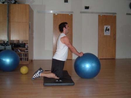 Exercise Descriptions Workout B Stability Ball Rollout Kneel on a mat and place your clasped hands on