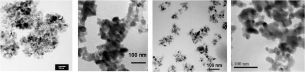 Experimental strategy Titanium dioxide nanomaterials (JRC repository) NM-102 NM-103 NM-104 NM-105 Characterization of