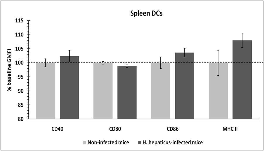Figure 8 Expression of maturation-associated surface markers on DCs derived from the spleens of H. hepaticus-infected and non-infected mice as measured by flow cytometry.