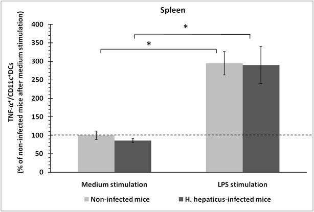 Figure 10 Intracellular proinflammatory cytokine expression by DCs derived from the spleens of H. hepaticus-infected and non-infected mice after in vitro stimulation with medium or LPS.
