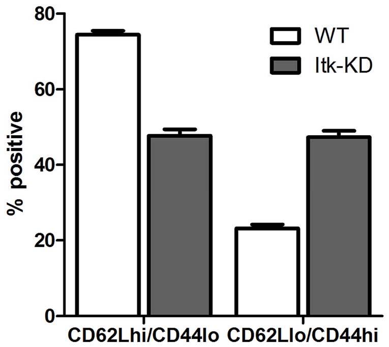 Figure 3. Splenocytes from naïve Itk-KD mice fail to secrete cytokines. Splenocytes from WT or Itk-KD mice were activated in vitro with increasing concentrations of soluble anti-cd3 for 72 h.