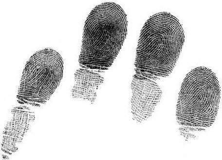The ID 500 10-Print Live Scan system can capture flat fingerprints (Figure 2(a)), rolled fingerprints (Figure 2(b)), and slap fingerprints (Figure 3).