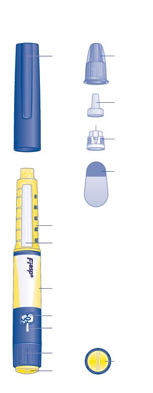 Fiasp Pre-filled pen and needle (example) (FlexTouch ) Fiasp pre-filled pen and needle (example) (FlexTouch ) Pen cap Outer needle cap Inner needle cap Needle Paper tab Insulin scale Insulin window